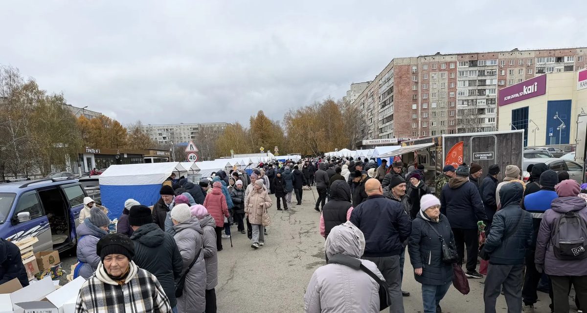 На ярмарке в Барнауле продали больше трёх тонн овощей и раздали пенсионерам сумки