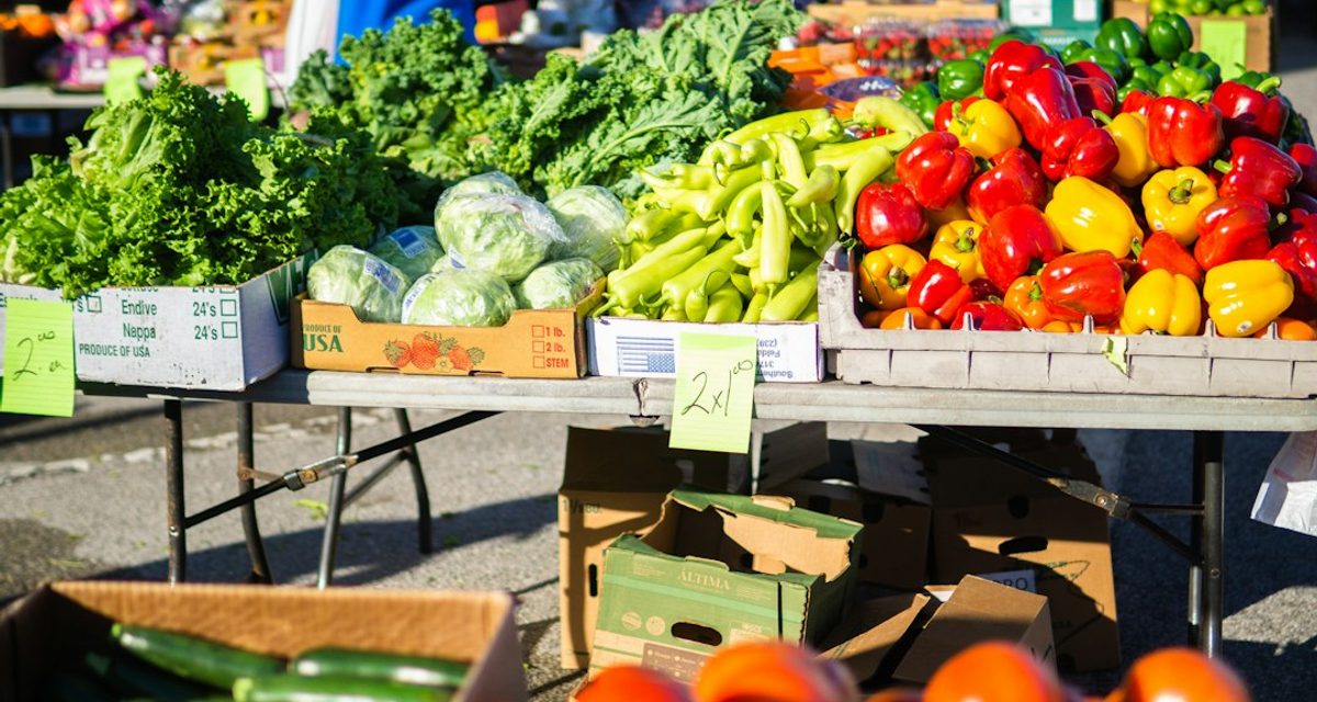 В Барнауле продукты на ярмарках продают почти на 19% дешевле, чем в магазинах