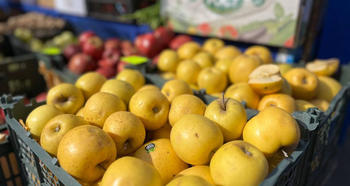 На ярмарках в Индустриальном районе Барнаула продали больше 50 тонн алтайских продуктов