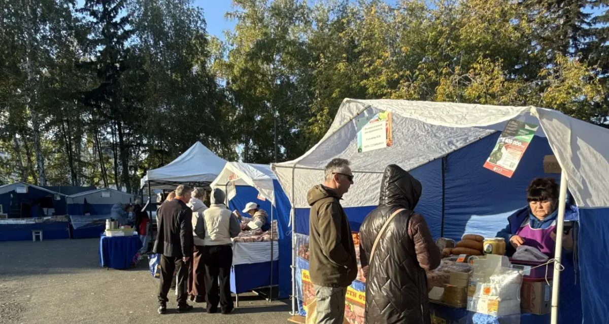 В сквере Титова за день продали 16 тонн картофеля и 4 тонны лука