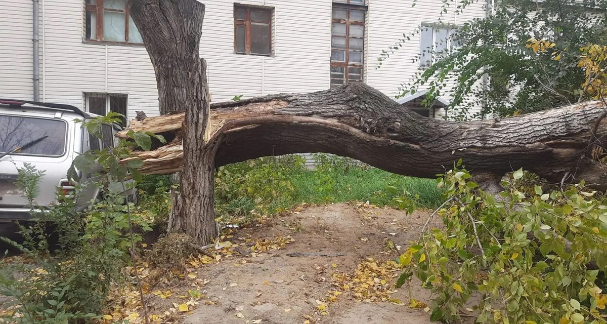 Штормовой ветер обесточил шесть пригородных поселков Барнаула — в четырех возвращают свет