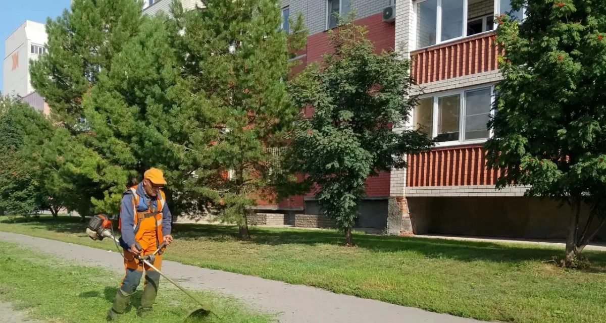 В Барнауле план по покосу травы у дорог выполнен более чем на 90%